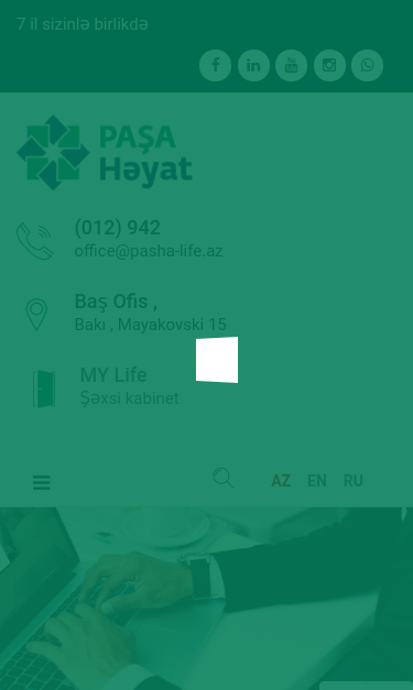 Mobile view