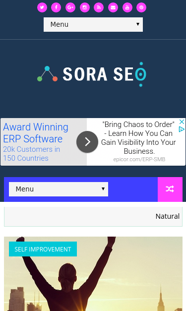 Mobile view