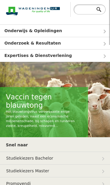 Mobile view