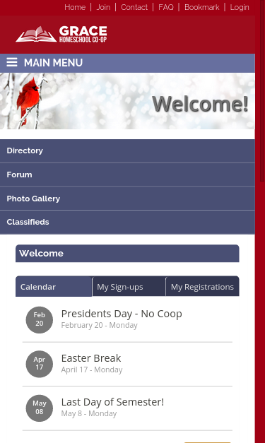 Mobile view