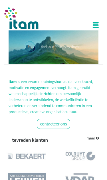 Mobile view