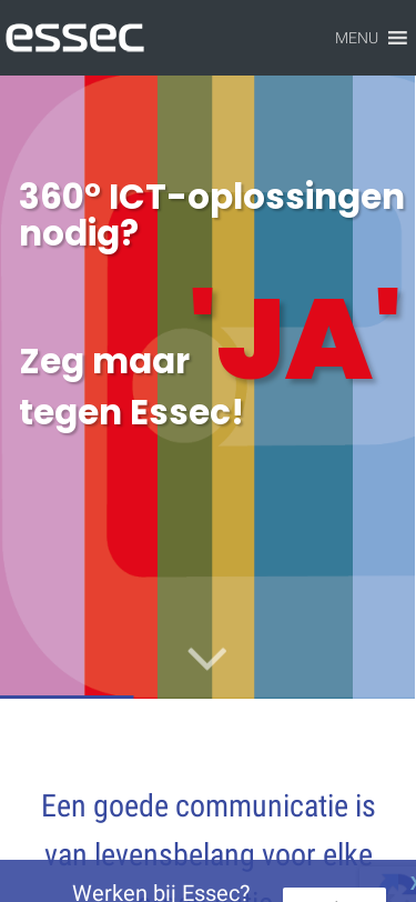 Mobile view