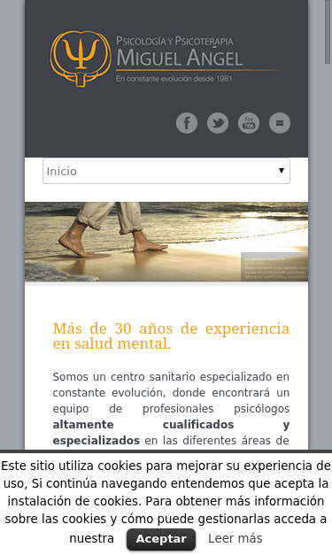 Mobile view