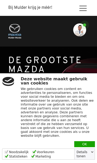 Mobile view