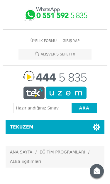 Mobile view