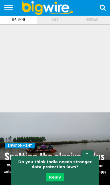 Mobile view