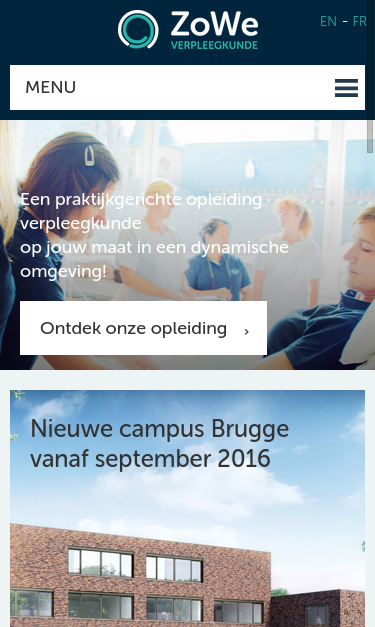 Mobile view