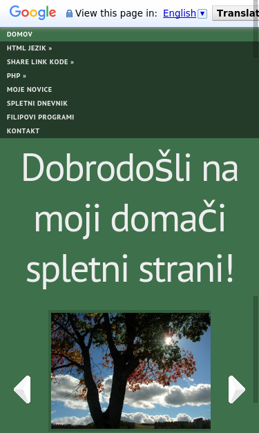Mobile view