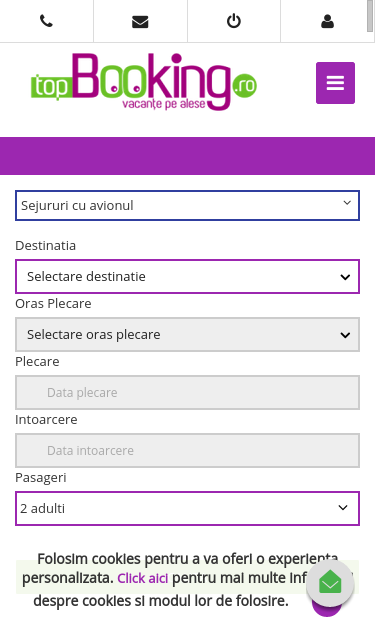 Mobile view