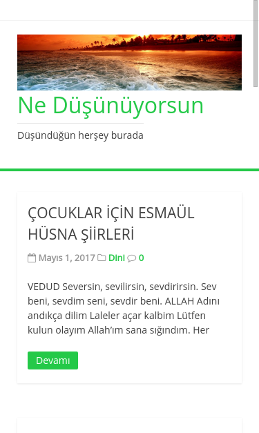 Mobile view