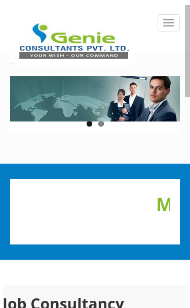 Mobile view