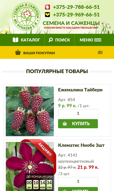 Mobile view