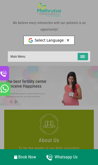 Mobile view