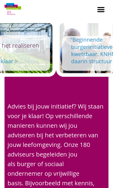 Mobile view