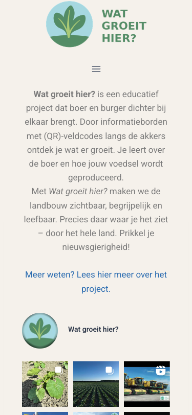 Mobile view