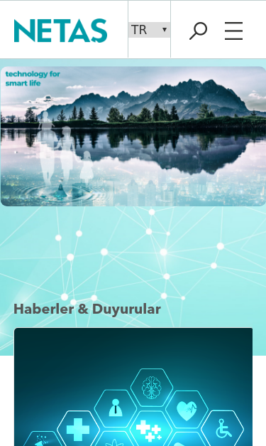 Mobile view