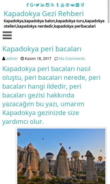 Mobile view