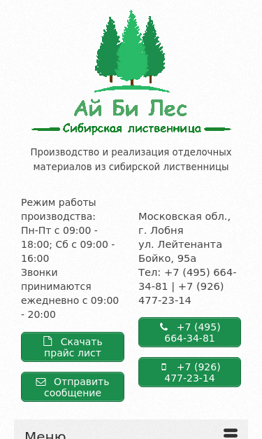 Mobile view