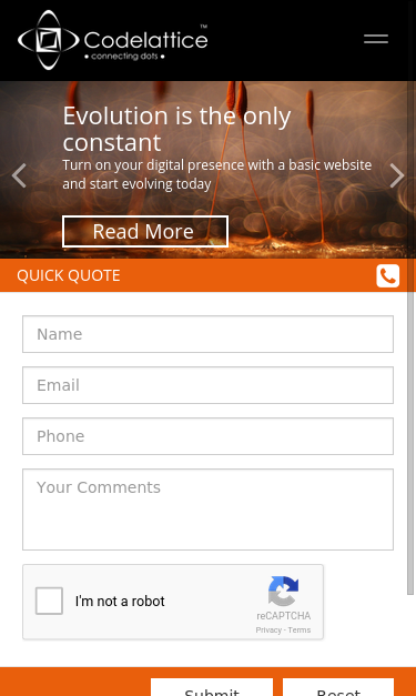 Mobile view