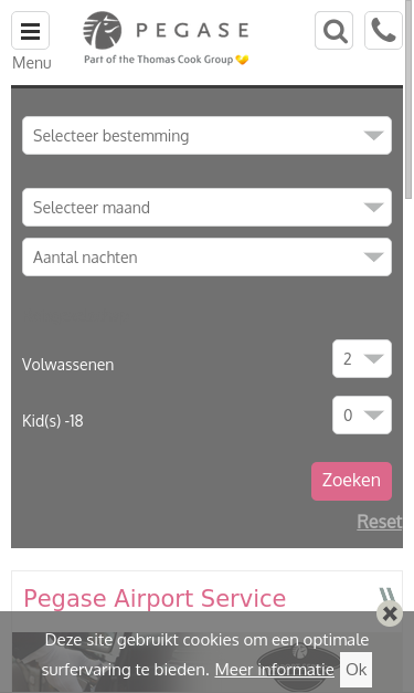 Mobile view