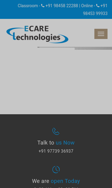 Mobile view
