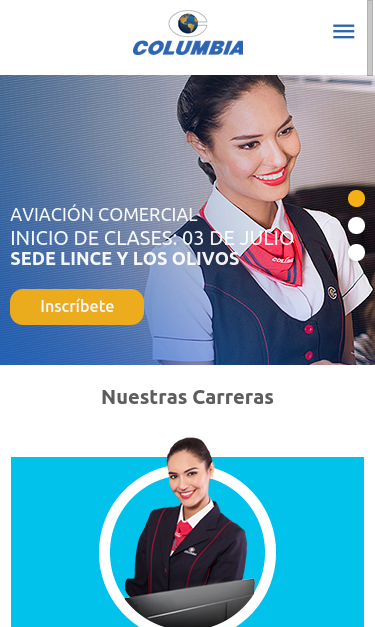 Mobile view
