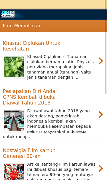 Mobile view