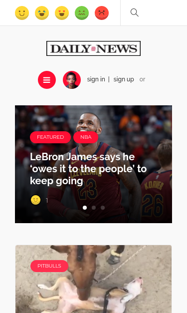 Mobile view