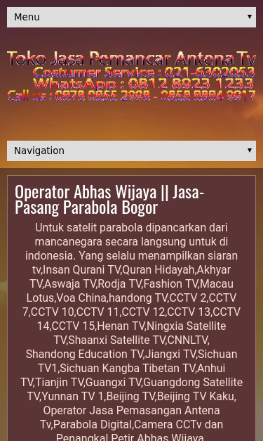Mobile view