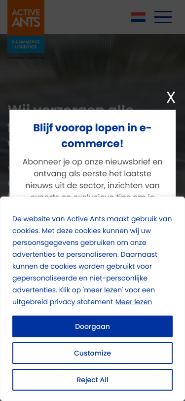 Mobile view