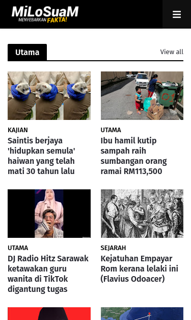 Mobile view