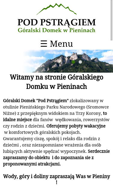 Mobile view