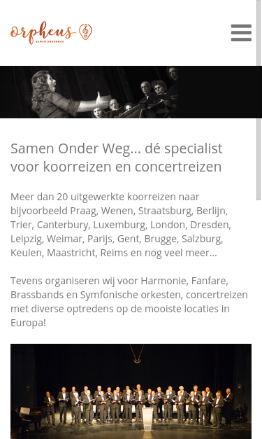 Mobile view