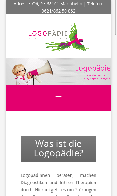 Mobile view