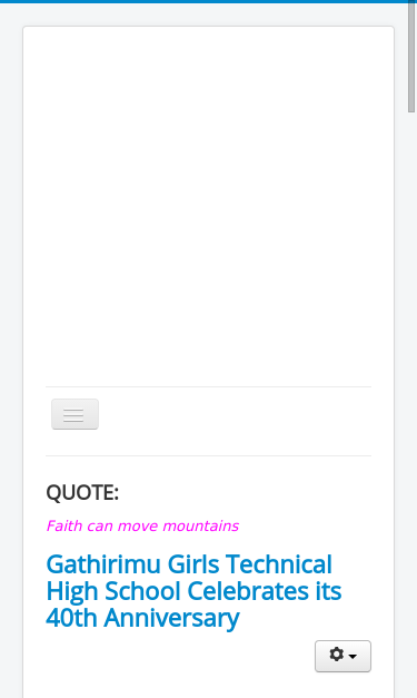 Mobile view