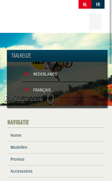 Mobile view