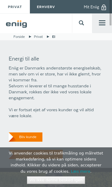Mobile view
