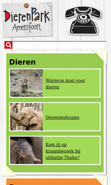 Mobile view