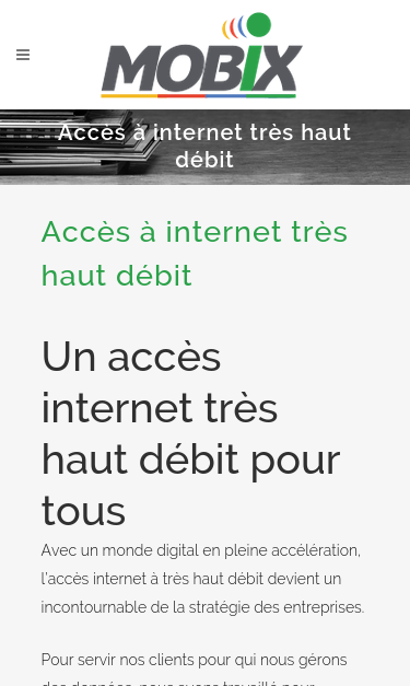 Mobile view