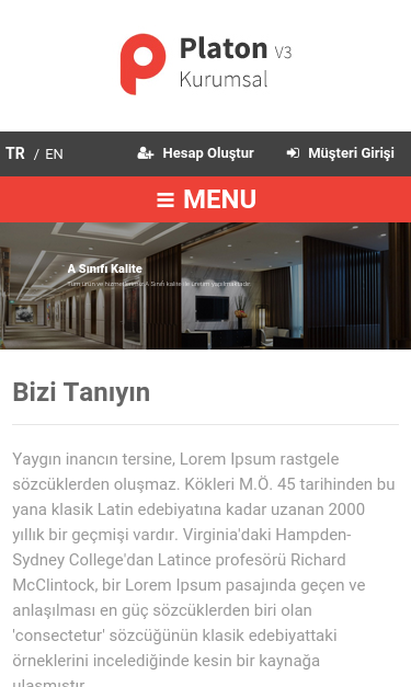 Mobile view