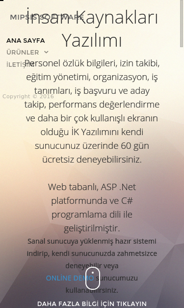 Mobile view