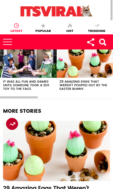 Mobile view