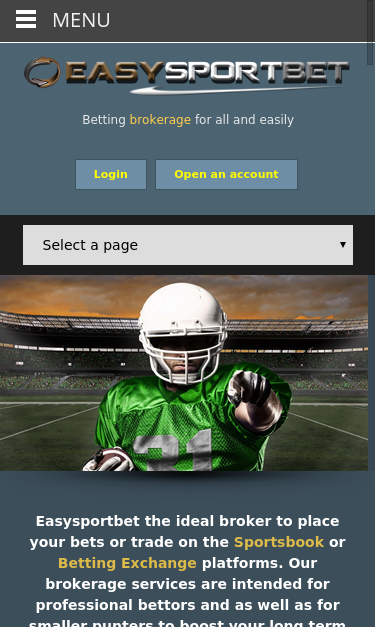 Mobile view
