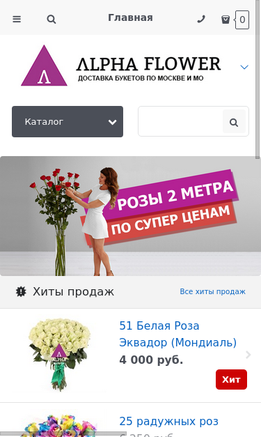 Mobile view